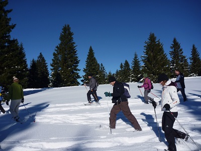 Bild 0